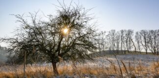 Glätte in Berlin und Brandenburg – ruhige Verkehrslage Am Wochenende lockert die dichte Wolkendecke stellenweise auf und macht den Blick auf den Himmel frei. (Symbolbild)