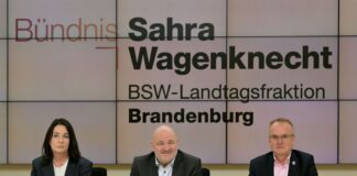 BSW-Landeschefin kritisiert Minister als «Glücksritter» Diese drei Minister in Brandenburg kehren dem BSW den Rücken. Nach dem Bruch der SPD/BSW-Koalition geht es in dem Bundesland auch erstmal mit einer Minderheitsregierung weiter. (Archivbild)