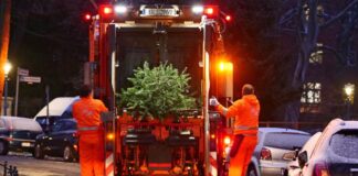 Weihnachtsbaum vergessen, und nun? BSR bietet Abholservice Mit dem Weihnachtsbaum-Entdecker-Service will die BSR die letzten Bäume entsorgen. (Symbolfoto)