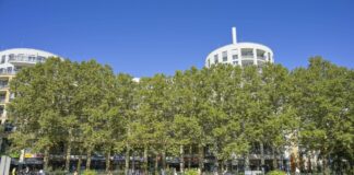 Berliner Erkundung: Sechs Plätze in gut 60 Minuten Der Springbrunnen am Prager Platz. Bild: IMAGO/Schöning