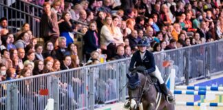 Letztes Wochenende der diesjährigen Grünen Woche steht an Am letzten Wochenende der diesjährigen Grünen Woche stehen im Rahmen des Reitturniers Hippologica noch mehrere Wettbewerbe an. (Archivbild)