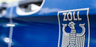 Zoll stößt bei Kontrolle auf Ungeziefer und Platznot Einsatzkräfte der Finanzkontrolle Schwarzarbeit des Hauptzollamts Frankfurt (Oder) decken Fälle illegaler Beschäftigung auf. (Symbolbild)