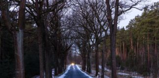 Minister: Brandenburgs Winterdienst ist einsatzbereit Die Straßenmeistereien in Brandenburg sind nach Angaben des Verkehrsministeriums auf weitere Schneefälle vorbereitet.
