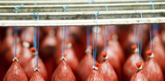 Eberswalder Wurstwerk schließt: Land will Standort erhalten Das Eberswalder Wurstwerk soll die Produktion Ende Februar einstellen, wie das Unternehmen ankündigte. (Archivbild)