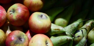 Tafel sammelt sechs Tonnen Lebensmittel auf Grüner Woche Bei der Grünen Woche gibt es stets zahlreiche Lebensmittel.