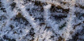 Frostig in Berlin und Brandenburg – zweistellige Minusgrade Nach der Wetterprognose des DWD wird es wolkig und es weht ein mäßiger Wind, am Montag wird es teils böig. (Symbolbild)