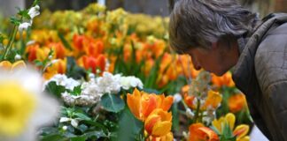 Die Besucherzahl auf der diesjährigen Woche übertraf die Erwartungen deutlich. (Archivbild)
