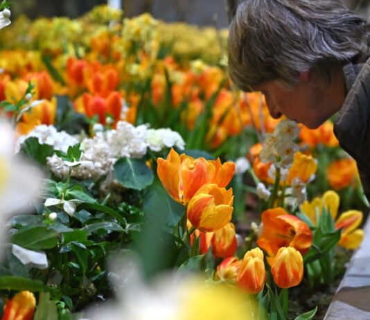 Die Besucherzahl auf der diesjährigen Woche übertraf die Erwartungen deutlich. (Archivbild)