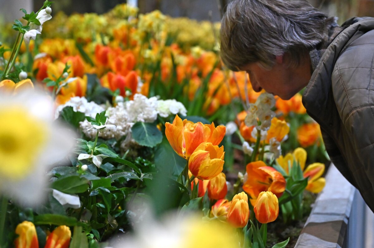 90. Internationale Grüne Woche Die Besucherzahl auf der diesjährigen Woche übertraf die Erwartungen deutlich. (Archivbild)