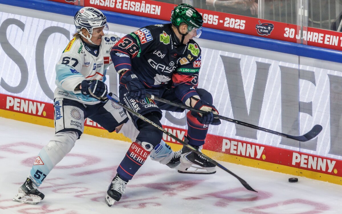 Eisbären Berlin - Dresdner Eislöwen Der Dresdner Emil Johansson (l), der gegen den Berliner Yannick Veilleux (r) um den Puck kämpft, trifft im DEL-Winter-Game am Samstag erneut seinen Gegner. (Archivbild)