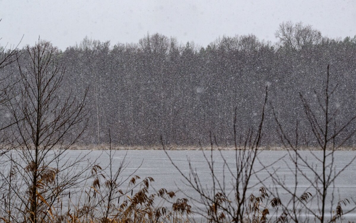 Winterwetter in Berlin und Brandenburg Am Donnerstag und in der Nacht zu Freitag kommt es nach Angaben des Deutschen Wetterdienstes zu leichtem bis mäßigen Dauerfrost. (Archivbild)