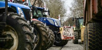 In Frankreich hatte es im Dezember Bauernproteste gegen das Mercosur-Handelsabkommen zwischen der EU und südamerikanischen Staaten gegeben. Jetzt kündigten Landwirte auch in Deutschland und Brandenburg Aktionen dagegen an. (Archivbild) 