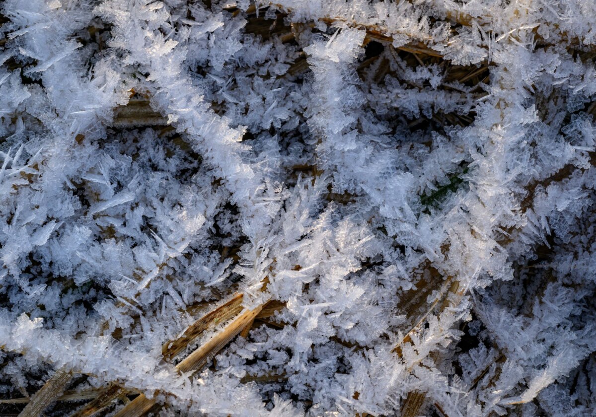 Winterwetter in Brandenburg In Berlin und Brandenburg könnte es am Wochenende schneien.