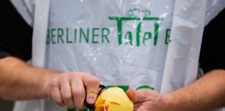 Berliner Tafel sammelt 45 Tonnen Obst und Gemüse Die Berliner Tafel hat 45 Tonnen übriggebliebene Lebensmittel bei der Fachmesse Fruit Logistica eingesammelt. (Archivbild)