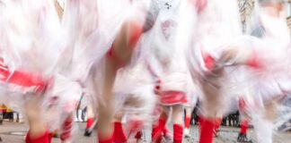 Die Narren sind los – Ostdeutschlands größter Umzug startet In Cottbus startet am Sonntag der Karnevalsumzug. (Archivbild)