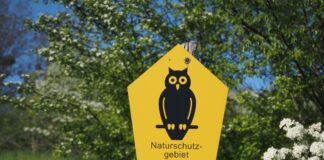 Umweltverbände bangen um Klimaplan Naturschutzverbände appellieren an SPD und CDU, in ihren Koalitionsgesprächen den Klimaplan nicht zur Disposition zu stellen. (Symbolbild)