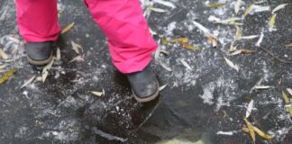 Zu wenig Licht? Fischer in Sorge um Gewässerqualität Schneedecken auf Gewässern können bei Fischen zu Sauerstoffmangel führen. (Archivbild)