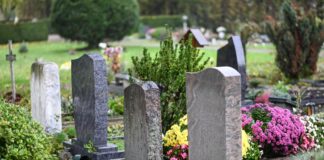 Herz-Kreislauf-Erkrankungen sind häufigste Todesursache In Berlin und Brandenburg starben 2024 rund 73.000 Menschen. (Symbolbild)