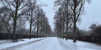 Behindertenverband: Teils «katastrophale» Glätte in Potsdam Der Behindertenverband klagt über teils spiegelglatte Straßen in Potsdam.