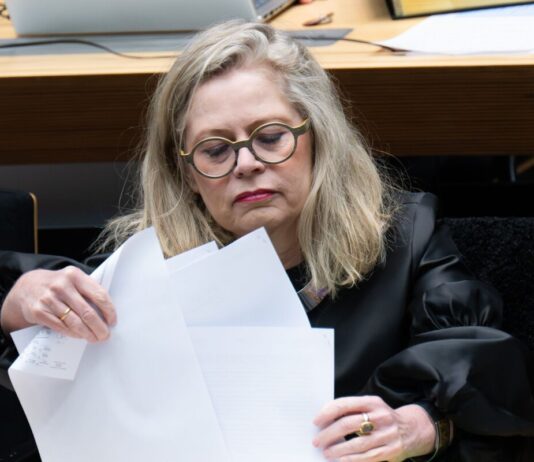 Magnetschwebebahn nach Tegel? – Diskussion nimmt Fahrt auf Verkehrssenatorin Ute Bonde (CDU) kann der Magnetschwebebahn viel abgewinnen. (Archivbild)