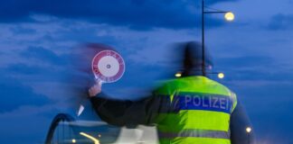 Minister dringt auf Ende der Grenzkontrollen zu Polen Die Bundespolizei ist seit Herbst 2023 in Brandenburg für Grenzkontrollen im Einsatz. Politisches Ziel ist es, irreguläre Migration zu stoppen. (Archivbild)