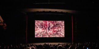 Vorverkauf zur Berlinale: Wie man an Tickets kommt Bald beginnt die Berlinale. (Archivbild)