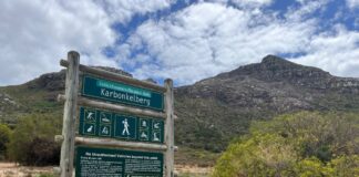 Vermisster Deutscher in Kapstadt – Gericht entlastet Polizei An dieser Stelle wurde der junge Mann zum letzten Mal gesehen. (Archivbild)