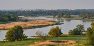 Raum zwischen Berlin und Stettin soll enger zusammenrücken Blick auf den deutsch-polnischen Grenzfluss Oder. (Archivbild)