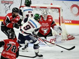 Trotz Niederlage: Eisbären-Coach Aubin «stolz» auf sein Team Trotz einer über weite Strecken starken Vorstellung unterlagen die Eisbären Berlin im vierten DEL-Halbfinalspiel bei den Kölner Haien.