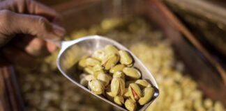 Rückruf von Pistaziencreme wegen Salmonellengefahr Aus Pistazien wird eine beliebte Creme gemacht. (Symbolbild)