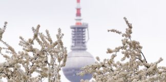 Frostige Nächte und Wechselwetter in Berlin und Brandenburg Dichter Nebel sorgt Gebietsweise für schlechte Sicht. (Symbolbild)