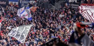 Angriff auf Köln-Fans: Eisbären sprechen Stadionverbote aus Nach dem Heimspiel der Eisbären war es zu der Attacke gekommen. (Symbolbild)