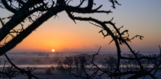 Kälte am Morgen – dann bis zu 19 Grad Frost sorgt an diesem Morgen in Teile von Berlin und Brandenburg für winterliche Gefühle. Die Temperaturen klettern dann auf Höchstwerte zwischen 17 und 19 Grad. (Archivbild)