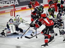 Vor Spiel sechs in Köln: Saison-Aus für Eisbären-Keeper Für Keeper Jake Hildebrand ist die Saison beendet. (Archivbild)