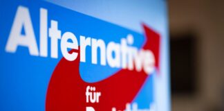 Die AfD streitet sich mit dem Bundestag um eine Großspende im Wert von 2,3 Millionen Euro. (Symbolbild)