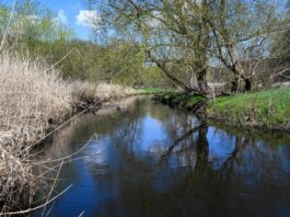 Hochwasseralarm an der Stepenitz in der Prignitz Die Stepenitz fließt auch im Norden von Brandenburg. (Archivbild)