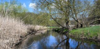 Hochwasseralarm an der Stepenitz in der Prignitz Die Stepenitz fließt auch im Norden von Brandenburg. (Archivbild)