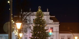 Oranienburg sucht Weihnachtsbaum für den Schlossplatz Die Stadt Oranienburg ist auf der Suche nach einem Weihnachtsbaum für die nächste Adventszeit. (Archivfoto)