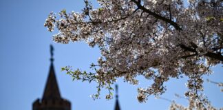 Sonniger Wochenabschluss, aber frostige Nächte: In Berlin und Brandenburg bleibt es ruhig und meist trocken.