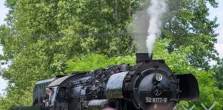 Dampfzug-Rundfahrten und Lok-Ausstellung in Berlin Pro Tag werden vier Rundfahrten mit dem Dampfzug angeboten. (Archivbild)