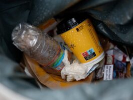 Gastronomen stemmen sich gegen Verpackungsteuer in Potsdam Die Stadt Potsdam hat als bislang einzige Kommune in Brandenburg eine Steuer auf Einwegverpackungen beschlossen. (Archivbild)