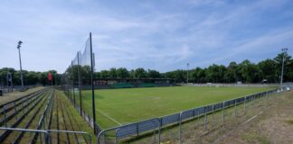 Regionalligist bleibt in Brandenburg statt Berlin Mit dem Stadion hat der Berliner Club eine Lösung gefunden. (Archivbild)
