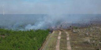 Das Feuer in einem Waldgebiet bei Jüterbog ist eingedämmt.