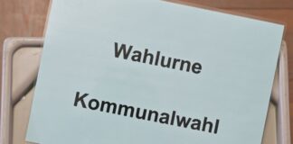 Tierschutzpartei erreicht Teil-Neuwahl in Dahme-Spreewald Ein Teil der Kreistagwahl in Dahme-Spreewald muss wiederholt werden. (Symbolbild)
