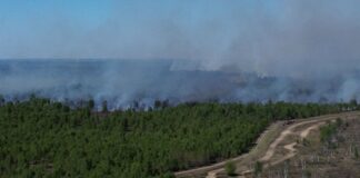 Der Waldbrand bei Jüterbog brach am Freitag aus.