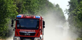Auf einem ehemaligen Truppenübungsplatz bei Jüterbog in Brandenburg ist ein Feuer ausgebrochen. (Archivbild)