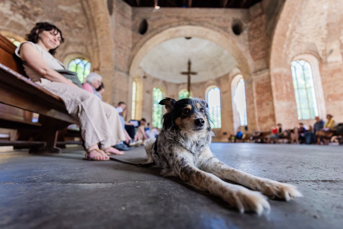 Segnungsgottesdienst für Mensch und Tier In der Parochialkirche wurde zum Tiersegnungsgottesdienst geladen.