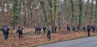 Kripo suchte erneut nach vermissten Männern im Havelland Bereits im vergangenen Jahr suchten Polizisten nach einem seit 2024 vermissten Mann aus Rathenow im Havelland. (Archivbild)