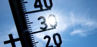 Sonne pur: Teilweise über 30 Grad möglich In Berlin und Brandenburg sind Temperaturen von 30 Grad und mehr möglich. (Symbolbild)