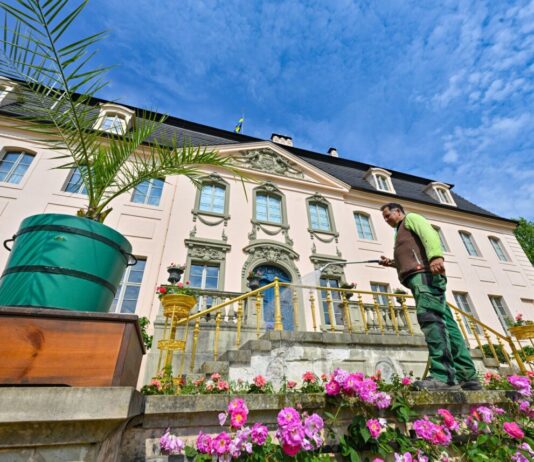 Gartenfestival im Park Branitz lockt mit Brot und Malerei Das Gartenfestival gibt es schon seit einigen Jahren. (Archivbild)